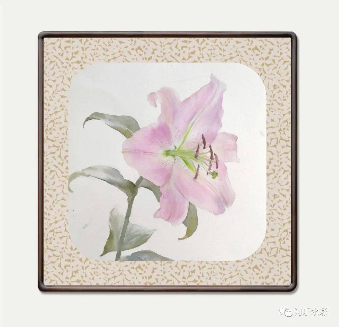 画一个平平的百合,弱化光与色,突出形态美_手机搜狐网