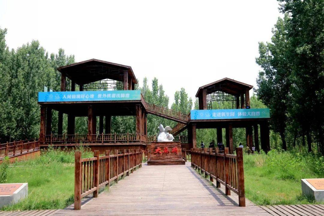 沧州东光全力打造大运河岸畔生态名镇