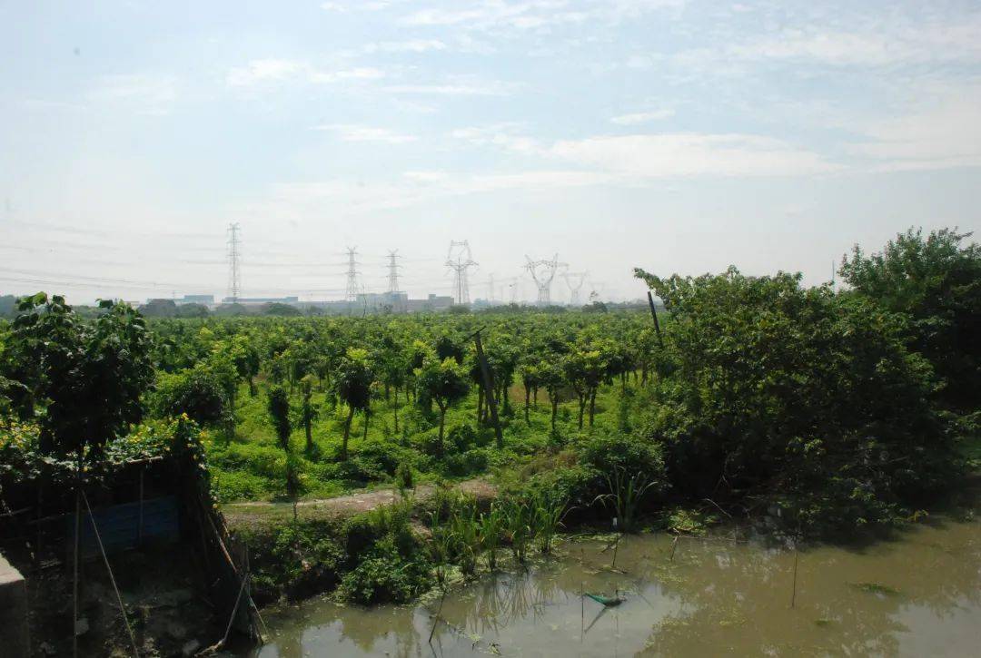 刘夏古文化遗址