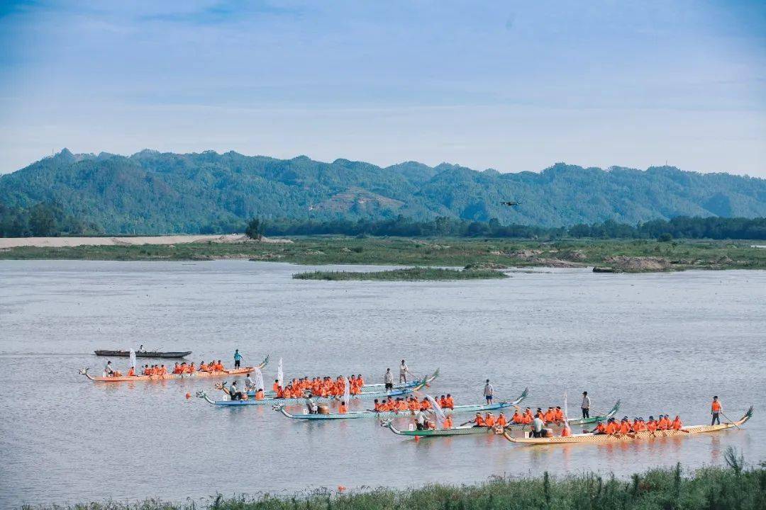 金龙稻-金龙优,-全能稻-荃优907,懿香王牌-宜优1787,晶灵