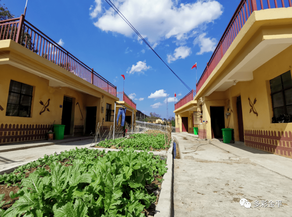 金平县:"三个坚持"织密路网 "致富路"通达乡村