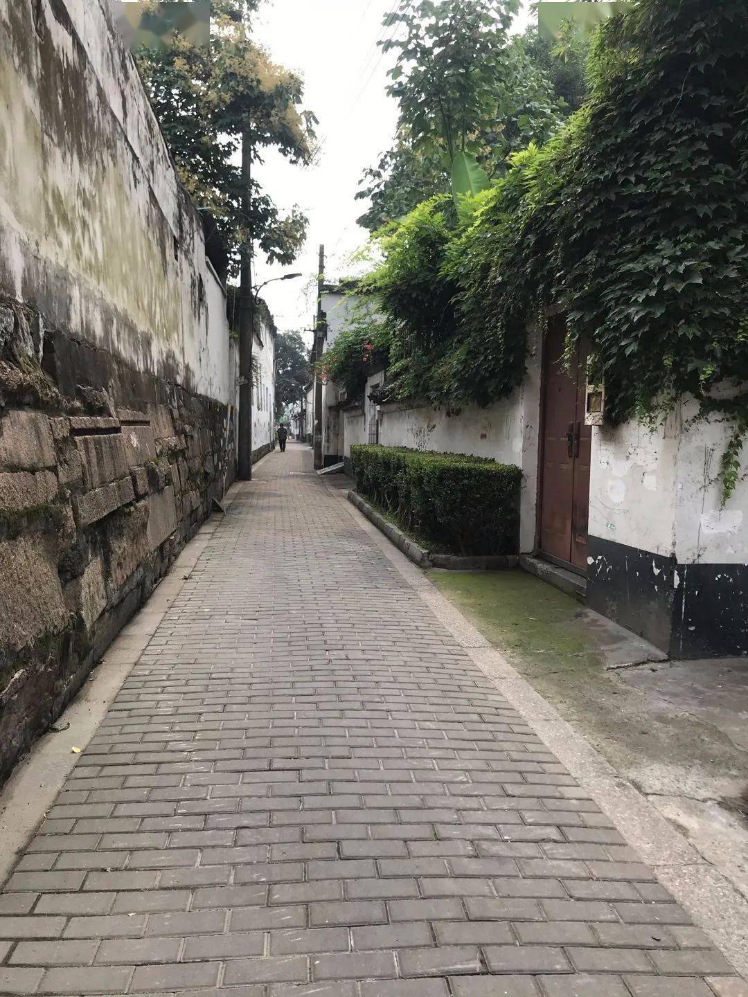 姑苏区15条"宝藏"街巷大变身!