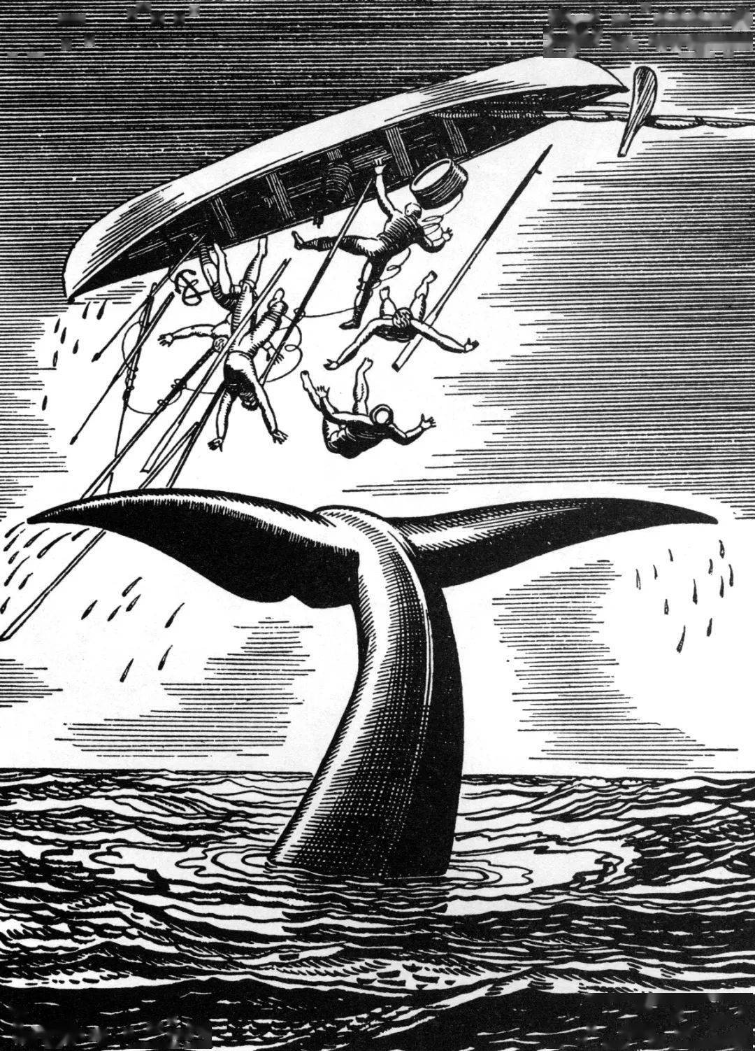 的咖啡连锁店,就是以书中捕鲸船大副的名字"starbuck"(星巴克)来命