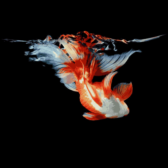 好似天空中的一道吻痕事实上关于水彩的真实表达需要对水彩画的构图