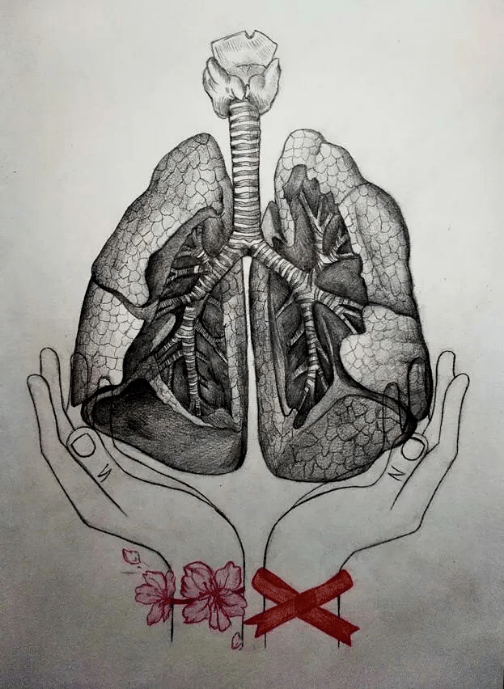 肺的素描画图片