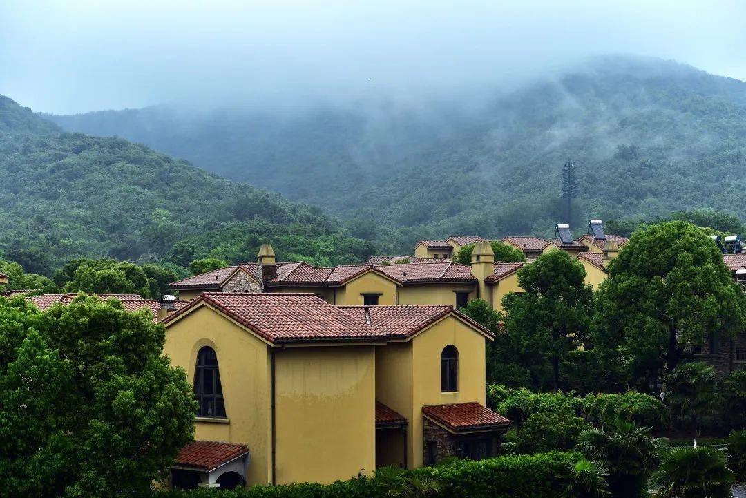 烟霞之胜,方能尽诉仙林翠谷之美!_生活