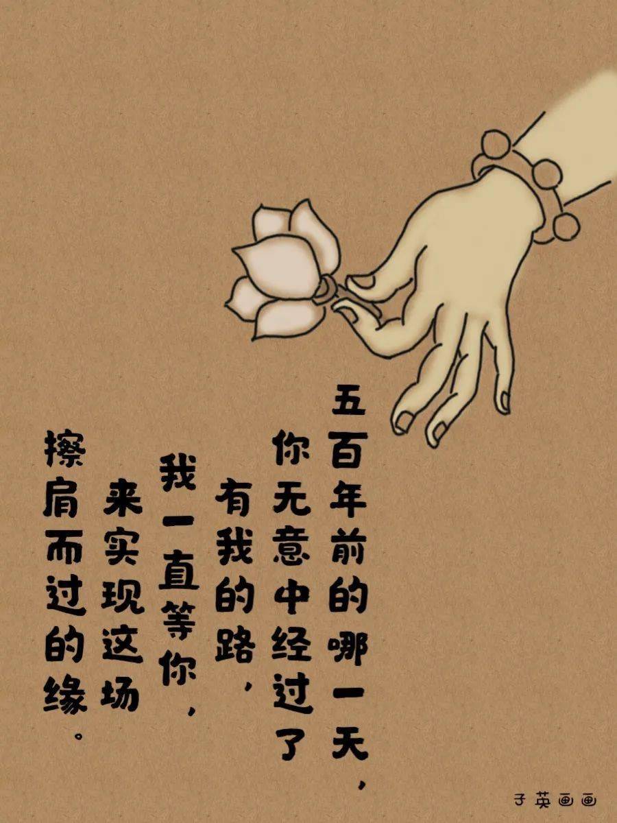 若无因缘何以相遇若无相欠怎会相见