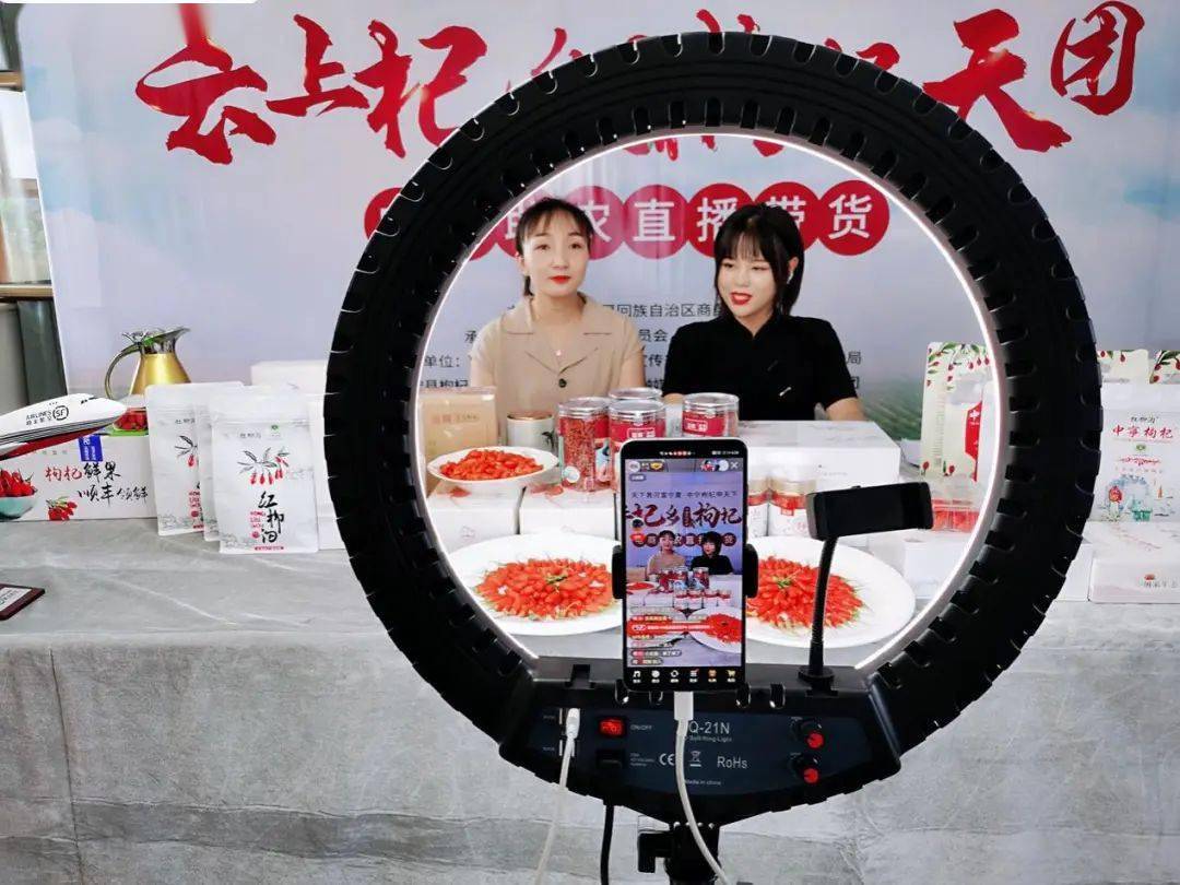 云上杞乡枸杞天团直播带货助农3小时销售额435万元