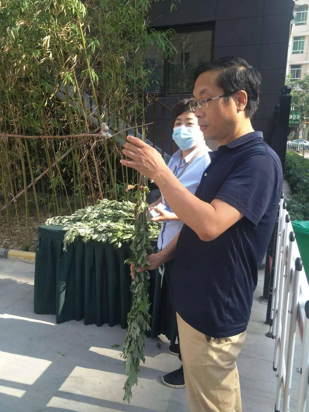 空军总医院代挂号，诚信快速贴心服务的简单介绍