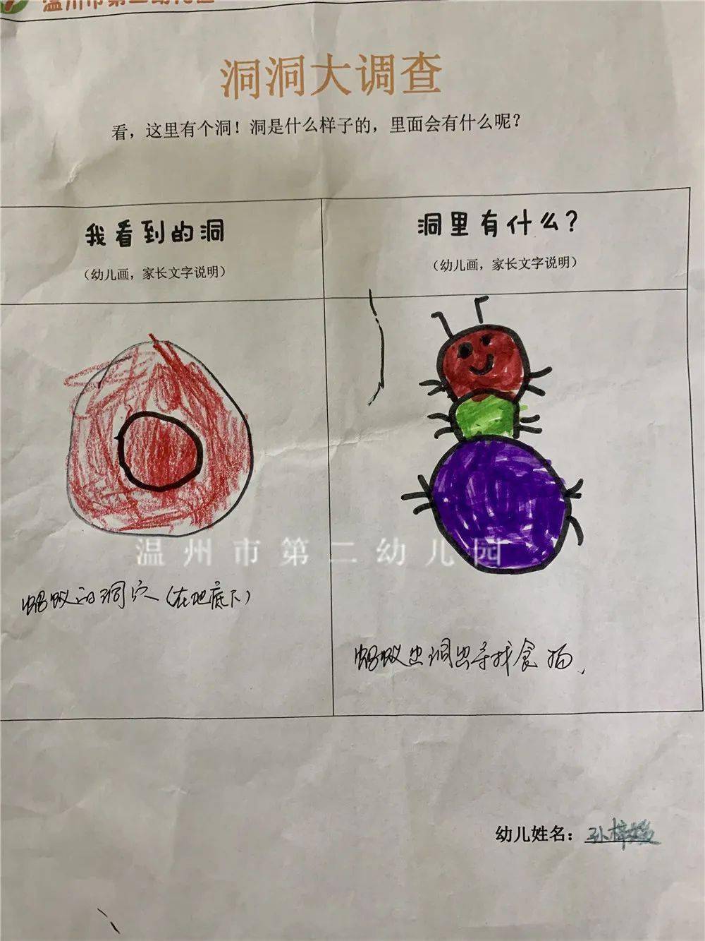 创想纸艺班本课例大洞洞小洞洞