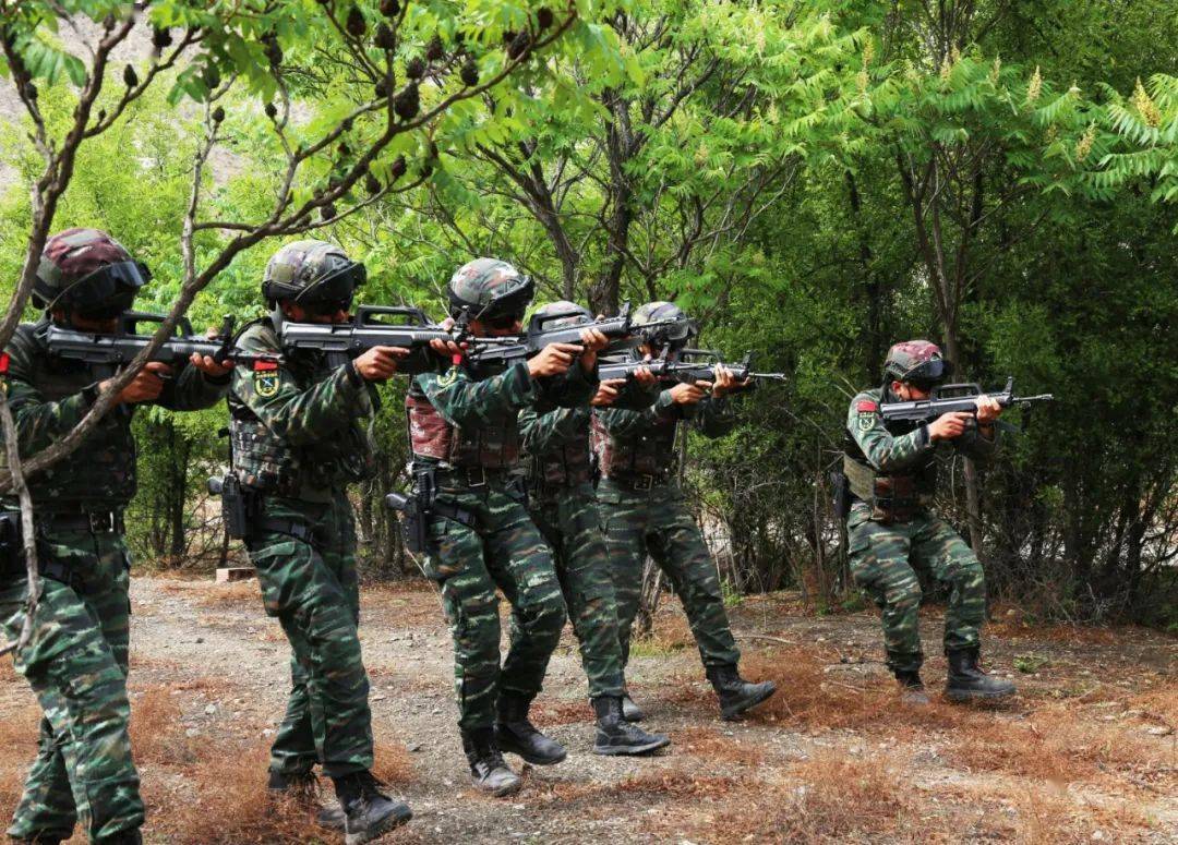 武警宁夏总队石嘴山支队从实战出发锻造特战尖兵