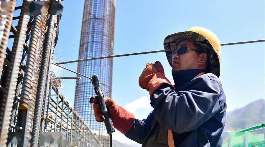 新华社记者 张龙 摄6月23日,在青海省海北藏族自治州门源回族自治县扁