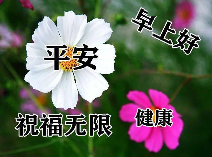 6月26日最漂亮早上好动态表情图片大全早晨好动图美图大全