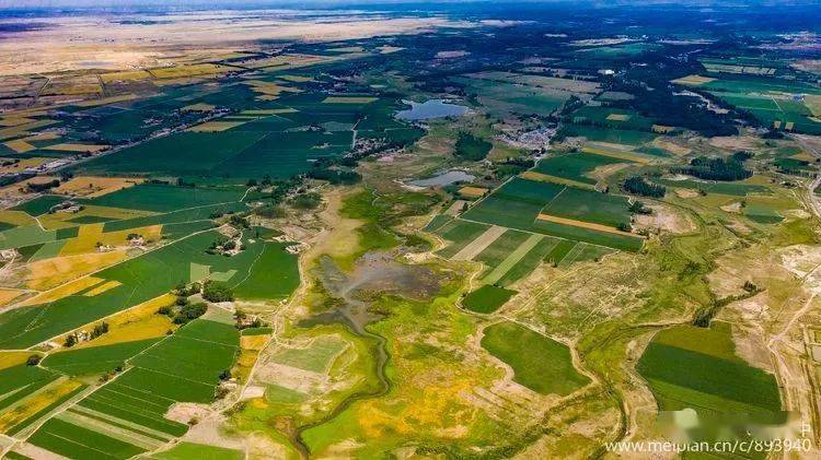 风景如画的红旗农场,一组新出的照片刷爆了朋友圈