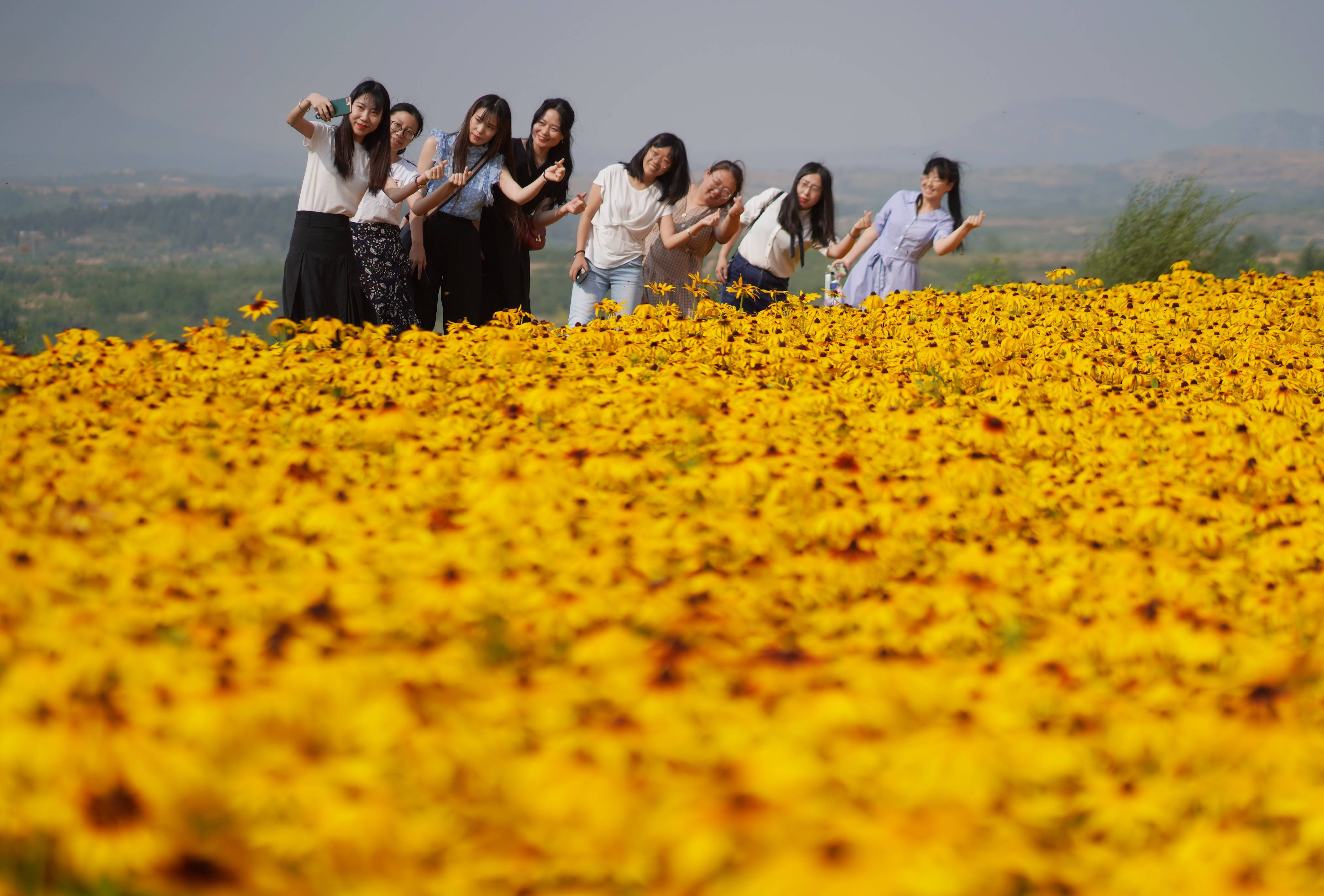 6月27日,游客在内丘县扁鹊药谷中药材种植基地拍照游玩.