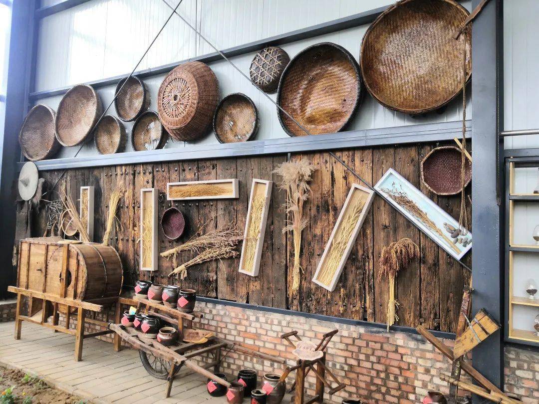 课程预告自然系列丨洛阳首个种子博物馆的首场活动不容错过