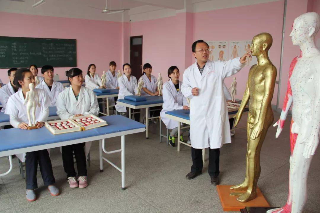 【高招特辑之专业解读】中医学专业