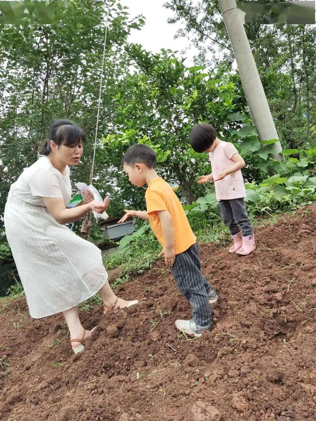 每日一句家庭教育格言_家庭教育格言_家庭教育格言100条短句