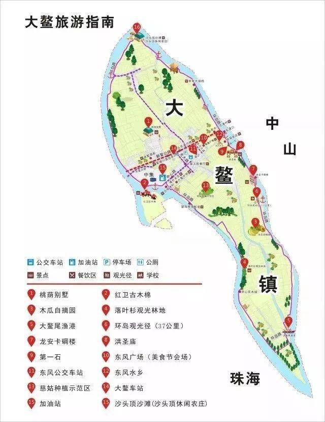 第一造大鳌莲藕上市,赶紧吃起来!_新会