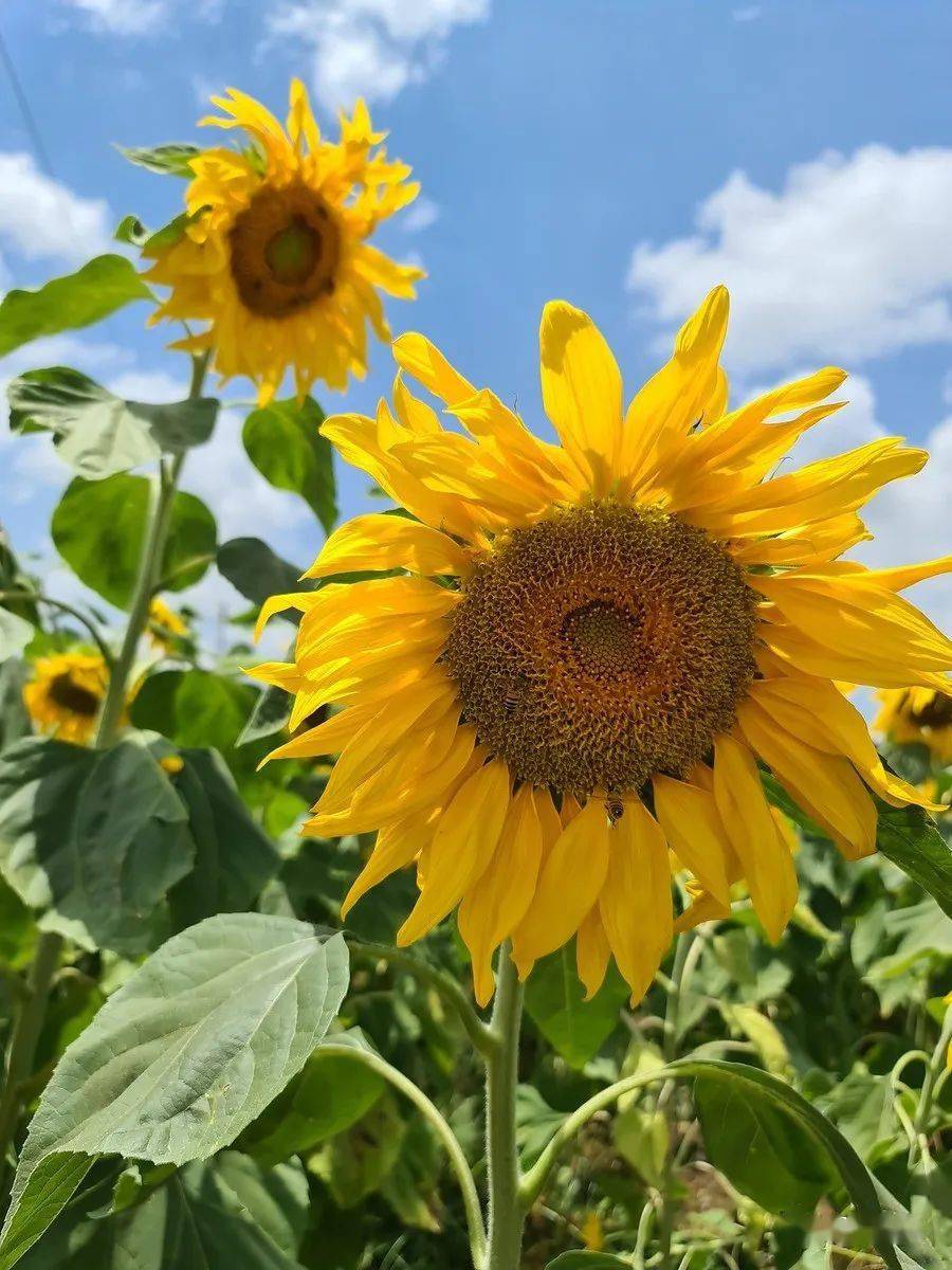 三星galaxy s20 ultra智能拍照手机真机实拍样片