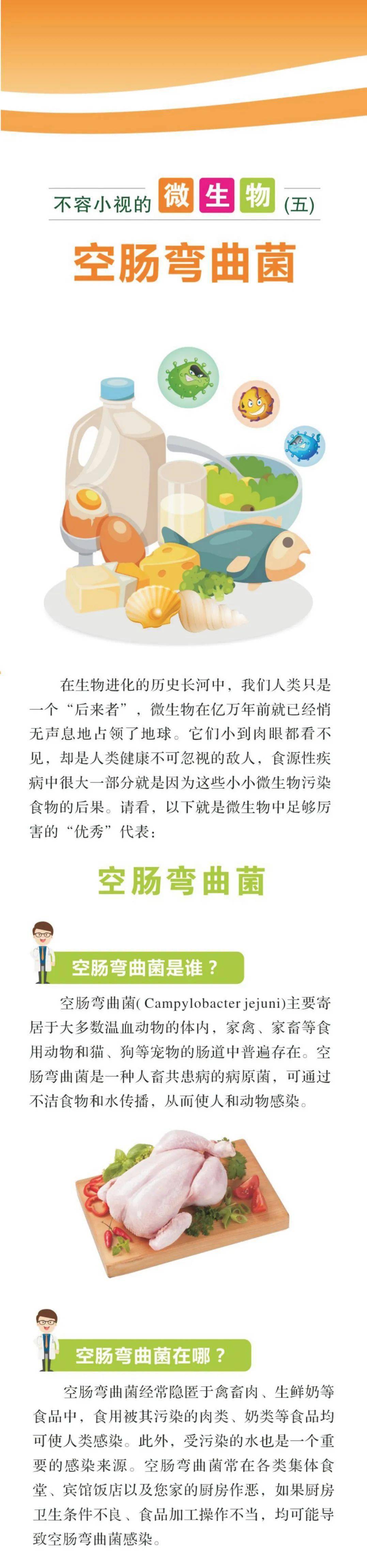 【不容小视的微生物5】空肠弯曲菌