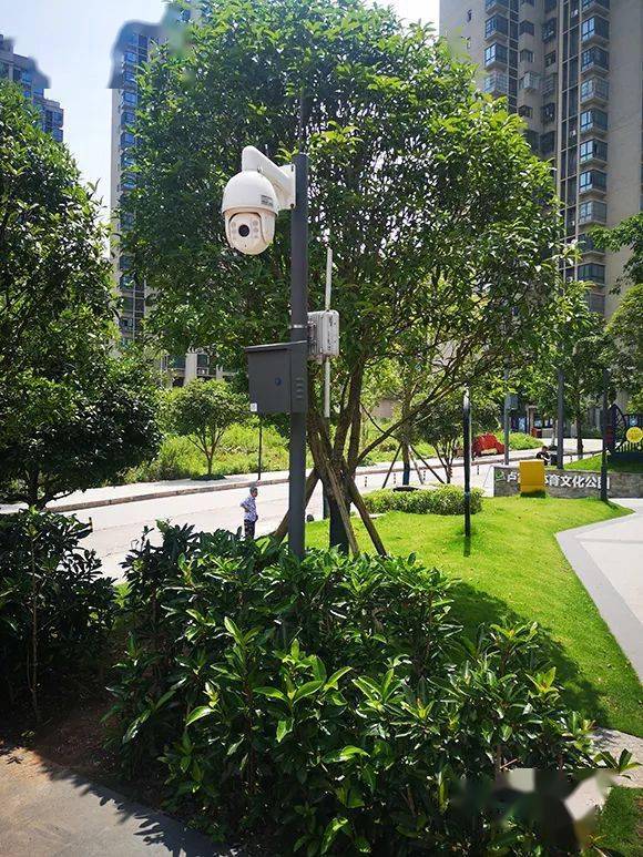 重庆50个社区体育文化公园实现智慧化管理_监控