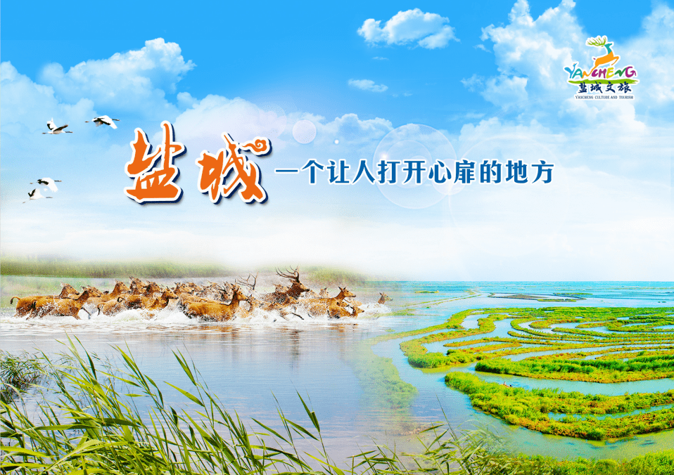 三大关键词读懂盐城这座城