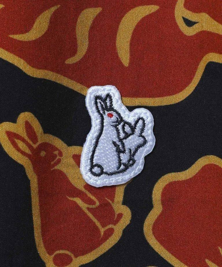 穿着aloha的兔子丨fr2