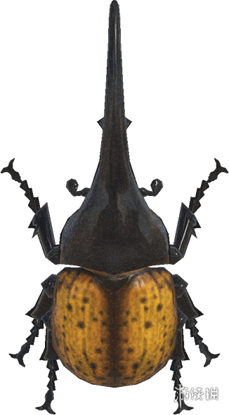 动物森友会》7月夏季捕虫大会昆虫一览!