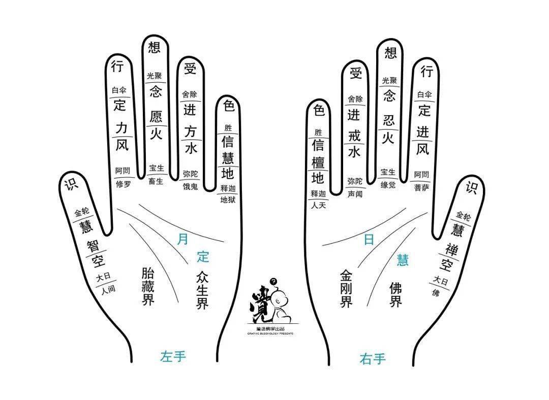 佛教在手掌上分配的概念则更多而复杂一些:来源:《道教手印研究》根据