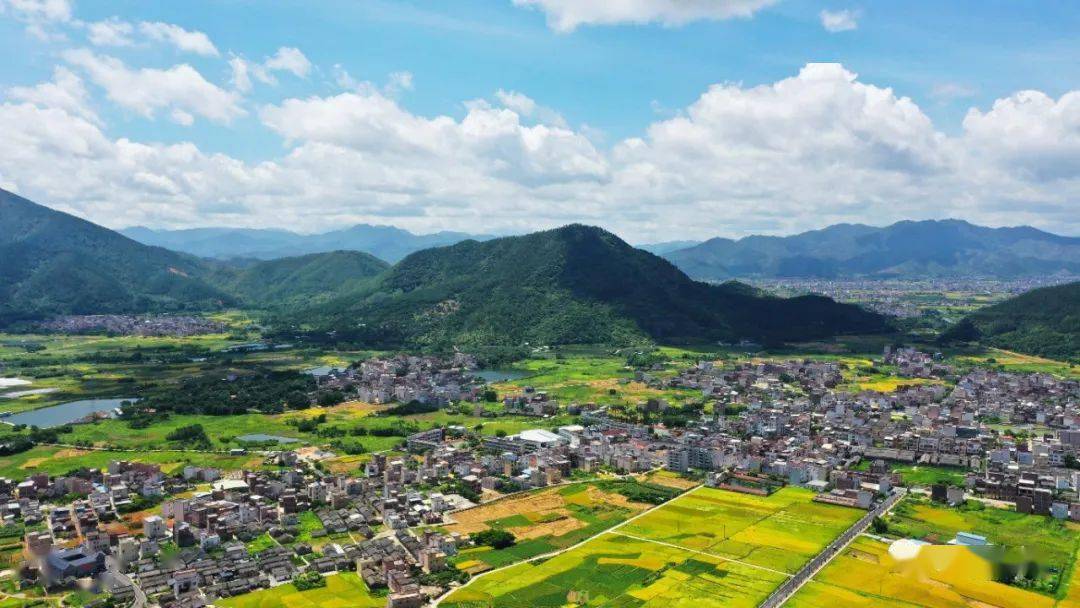 新興片片大地披