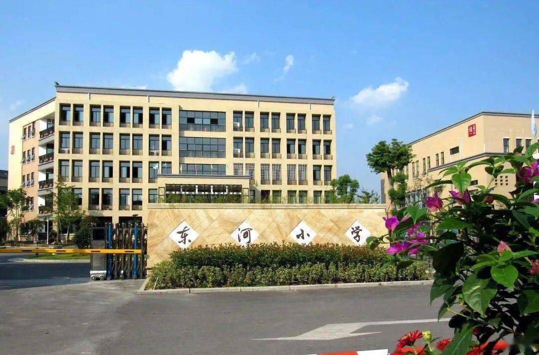 义乌市东河小学图片