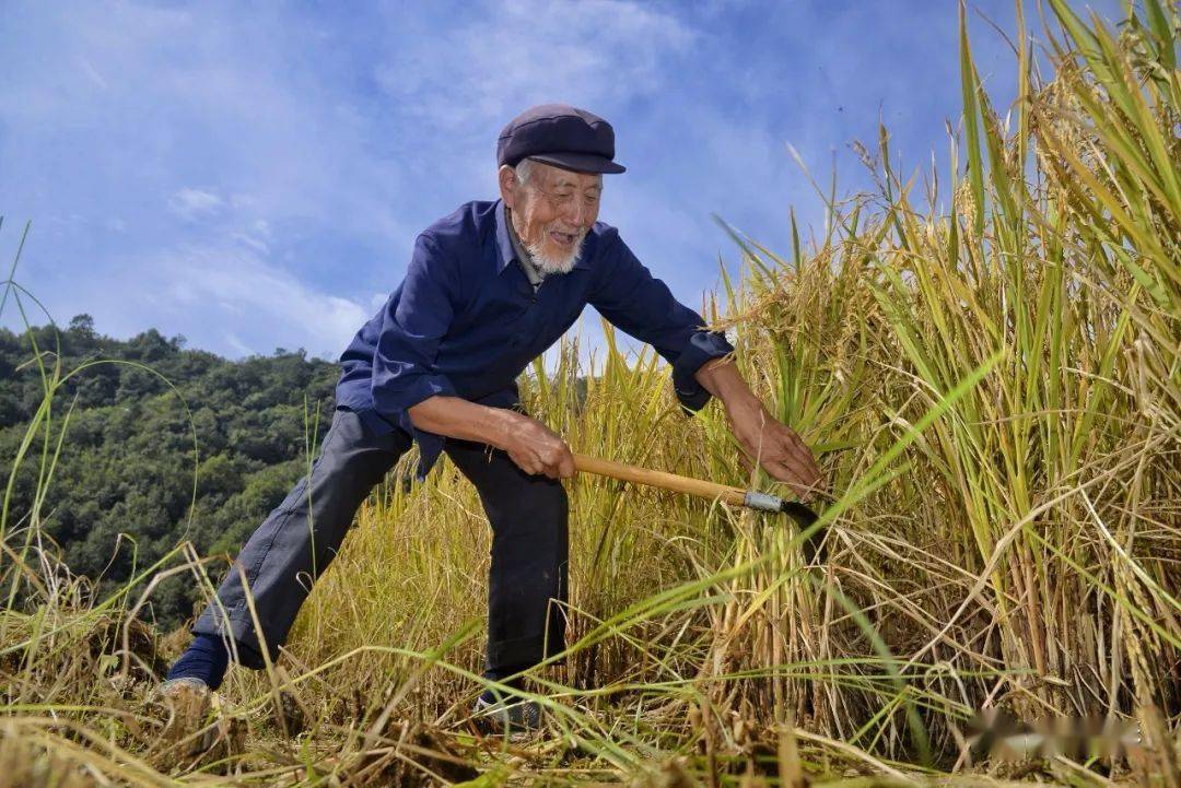 陇南市首届最美劳动者摄影大赛入围奖揭晓七