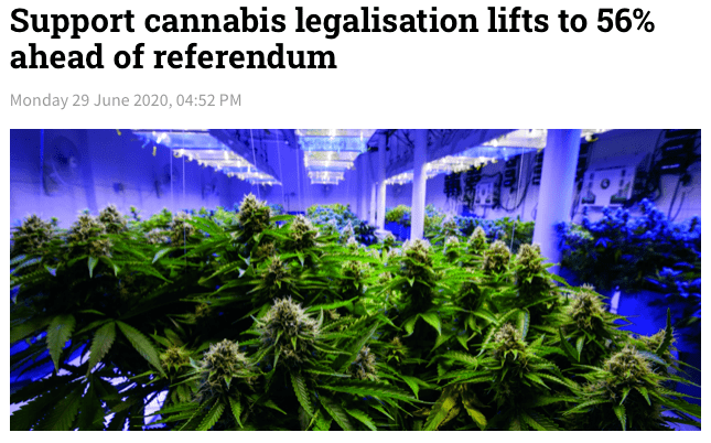 大麻,英文名叫cannabis,也称作marijuana,新西兰很多人叫它weed.