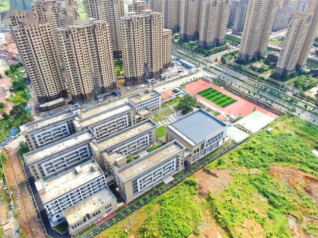 榕树花园~ 龙岩城区南部这所新小学美爆了_东园