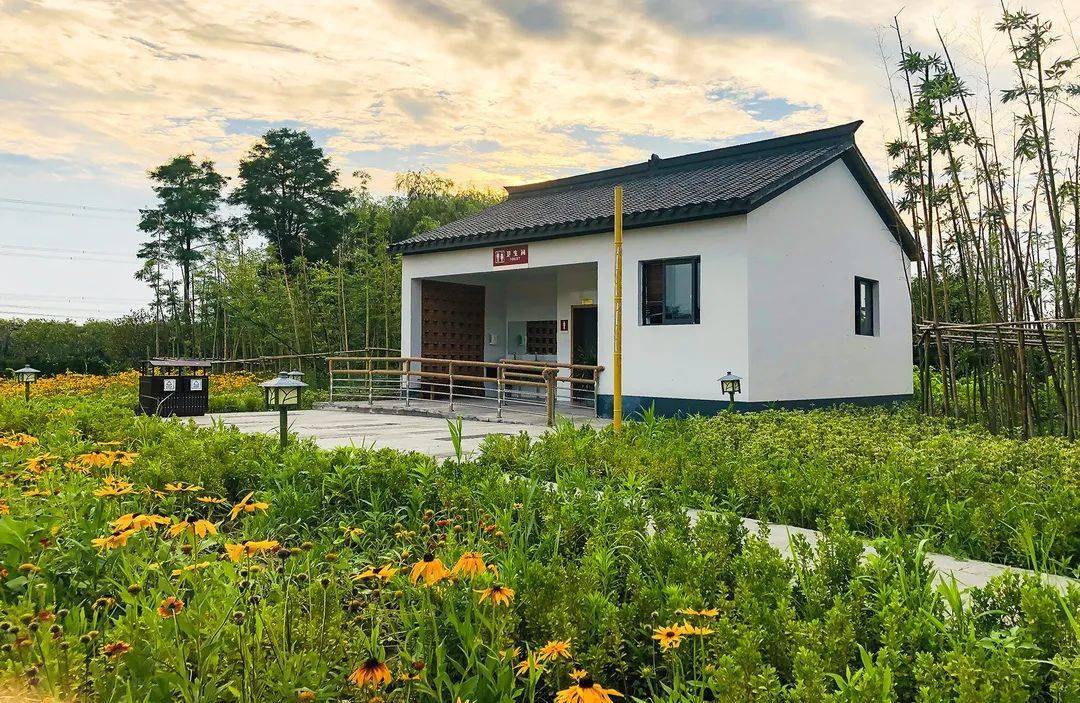 浙江农村公厕服务大提升行动开始啦_厕所