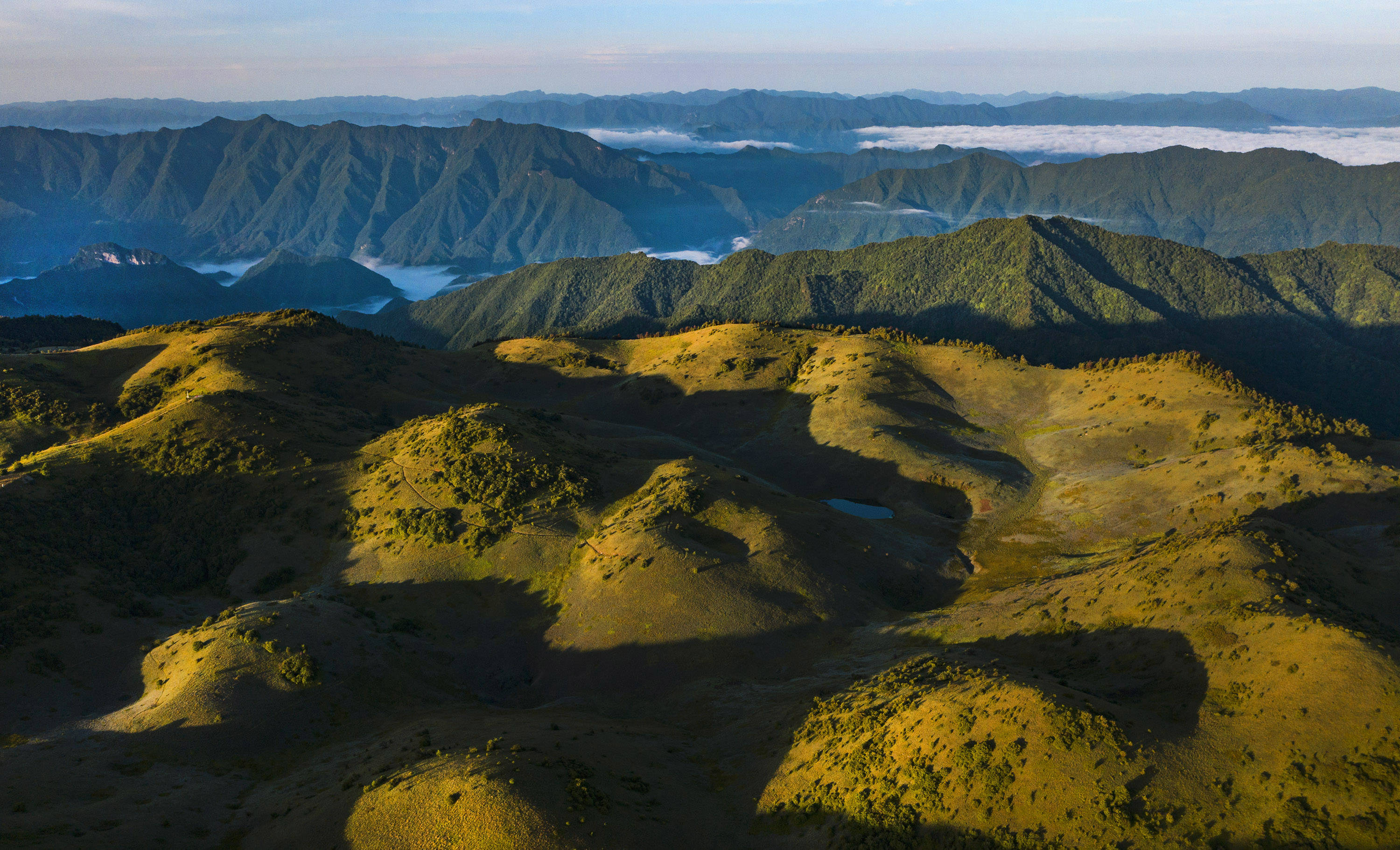 朝霞中的神田草甸