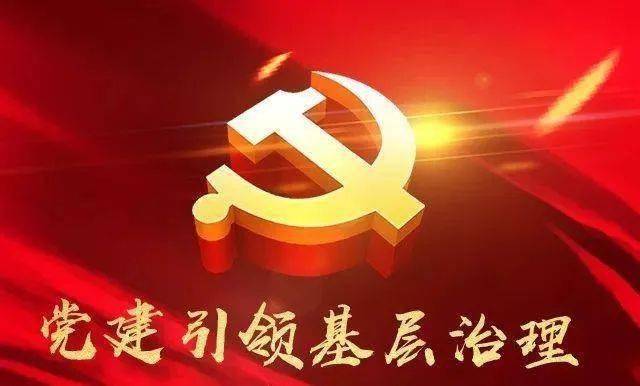 市委政法委指导组深入兴龙社区,指导社区基层社会治理工作_双标