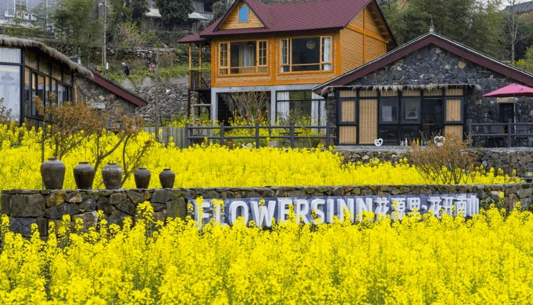 "治愈系"民宿大赏!请来宁海山水秘境,一枕绿色清凉!