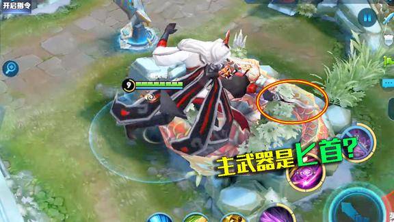 王者荣耀明世隐的主武器是一把匕首把他定位为刺客应该更合理