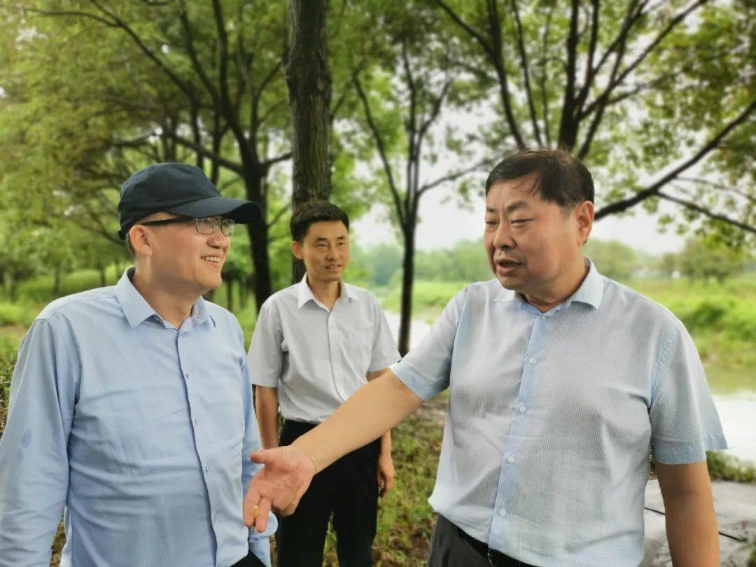 来到湖父镇张阳村,这里山岭蜿延东西,涧滩溪水潺潺,山水间,桃林成片