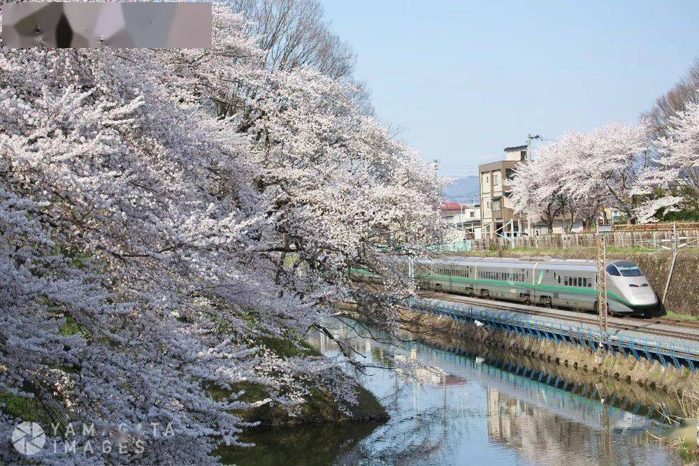 山形縣山形城