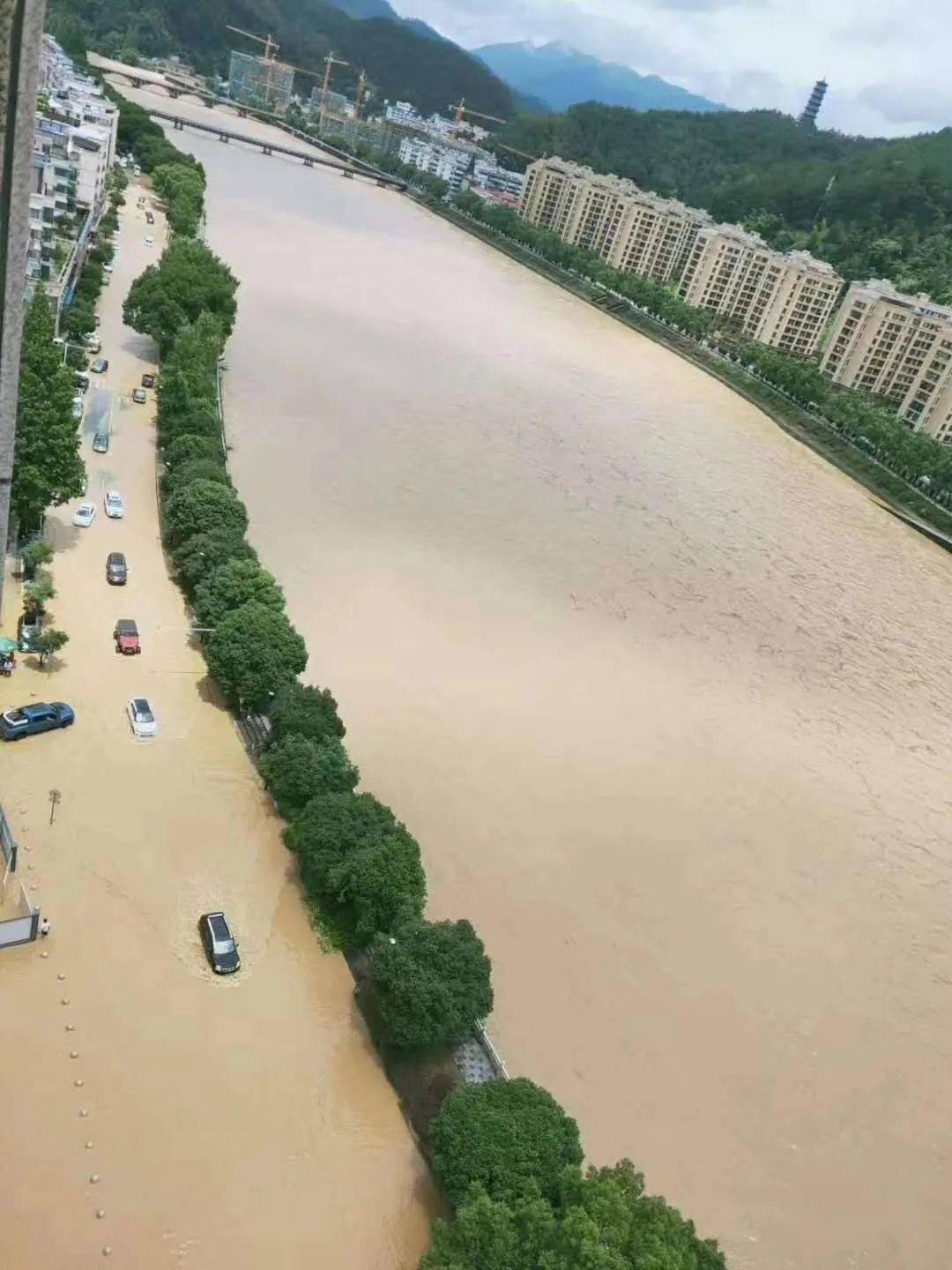 雨雨雨温州迎来第四轮强降雨范围广雨量大这个7月或格外炎热