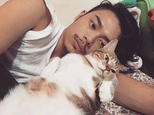 猫咪朋友圈5.0,看完笑到外星人找到地球!