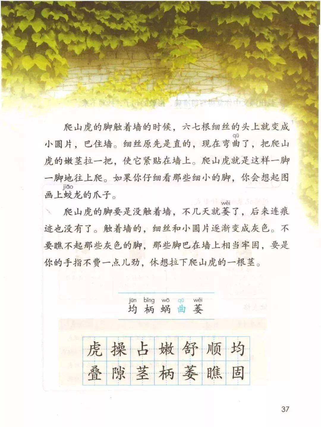 暑假预习 2020秋统编语文四年级