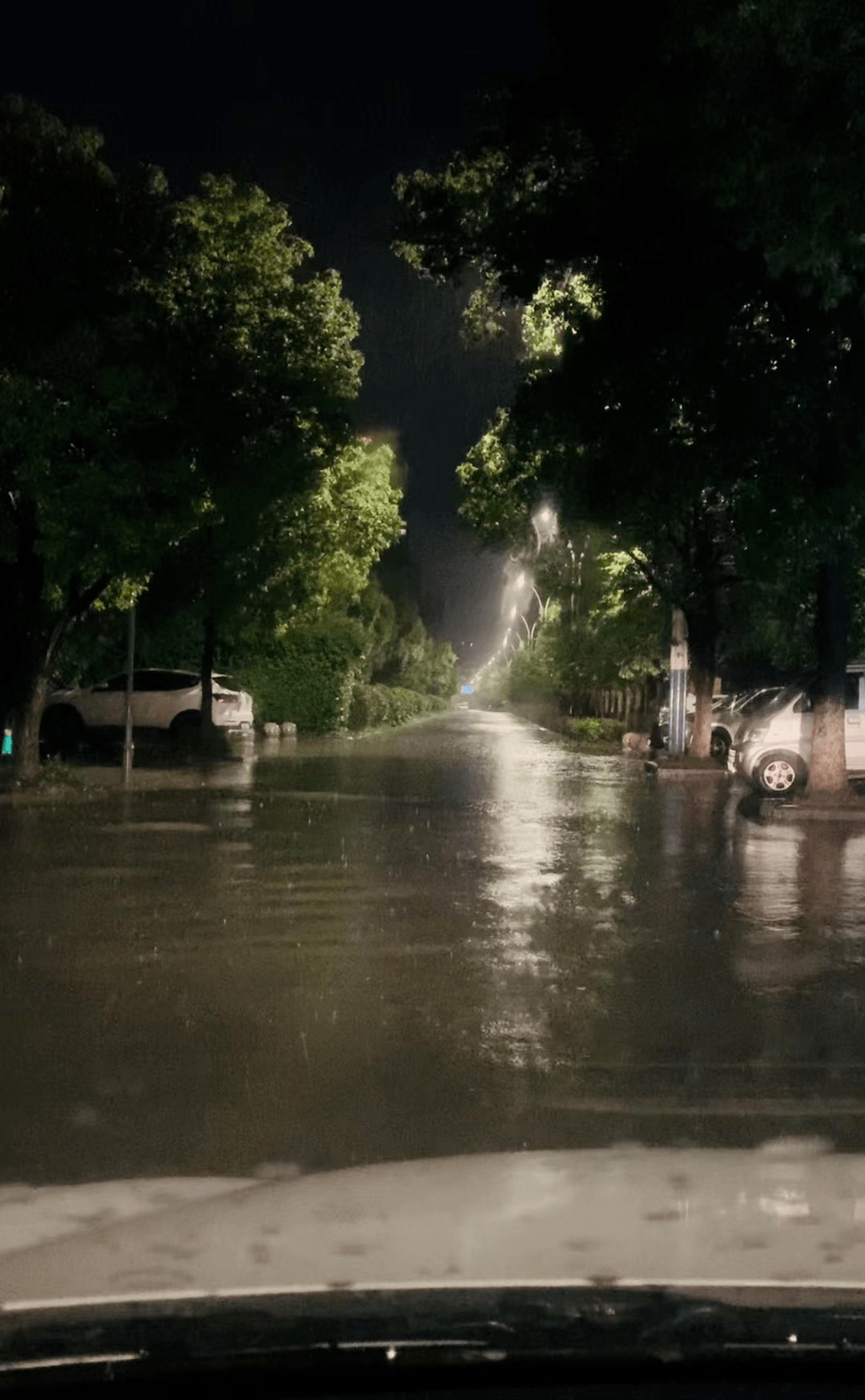 昨晚的嘉兴人都是乘风破浪的姐姐们那些年错过的大雨全还给嘉兴人了