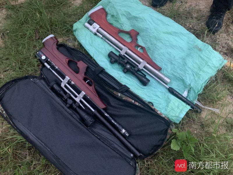 江门男子自制气枪打猎,民警现场发现2只被猎杀的保护鸟类