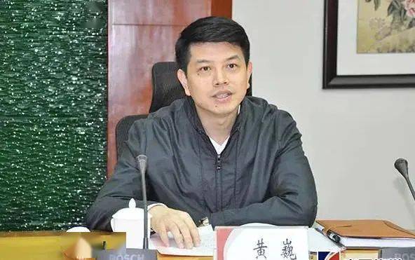 墩苗3个月县委书记黄巍谈任职感受