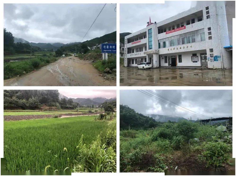 一心为民谋发展无私奉献为乡梓记但店镇杜家冲村党支部书记村委会主任