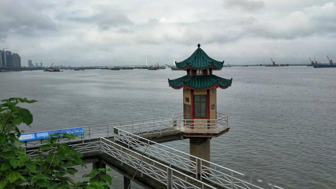 今早8:00岳阳城陵矶水文站实景图